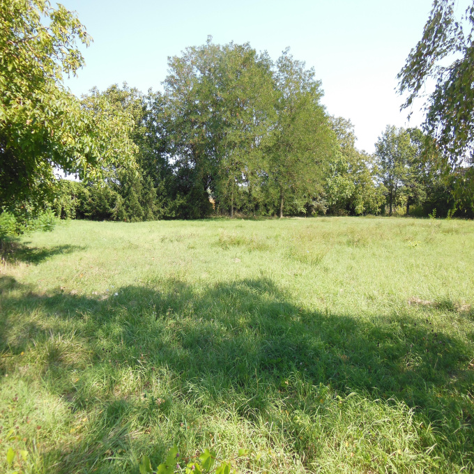 Offres de vente Terrain Saumur (49400)