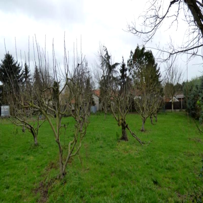 Offres de vente Terrain Yzernay (49360)